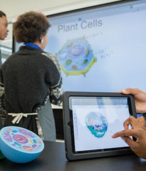 Asmaa_ecransinteractifsimge3_271118